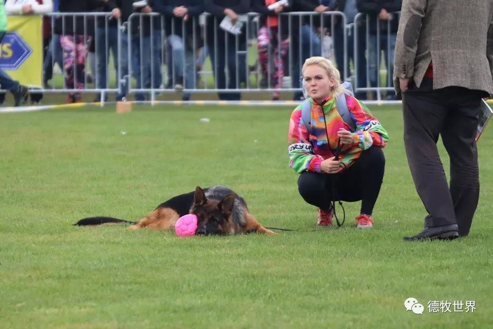 爱游戏官网-大比分获胜引发热议!,Karsa在德国队比赛中比赛规则变更赛场气氛高涨-爱游戏官网